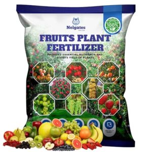 Organic Fruits Plant Fertilizer