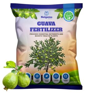 Organic Guava Plant Fertilizer
