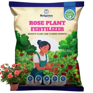 Organic Rose Plant Fertilizer