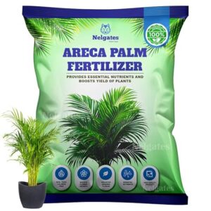 Areca Palm Fertilizer