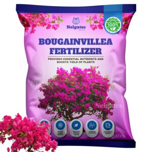 Bougainvillea Plant Fertilizer