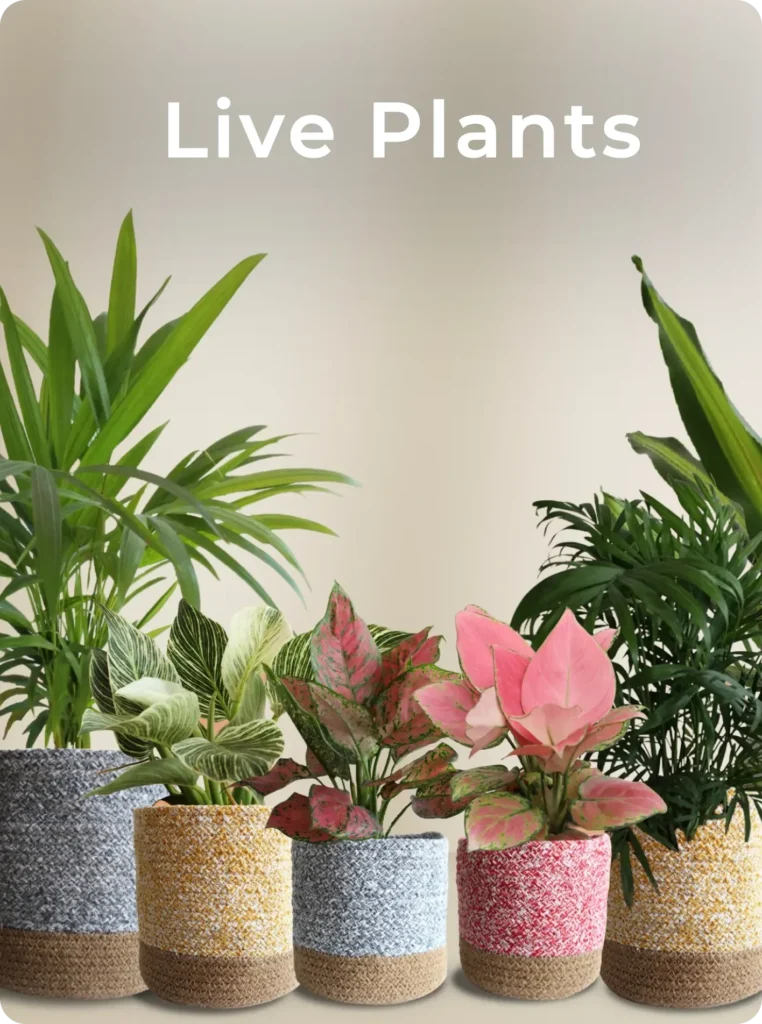 live plants